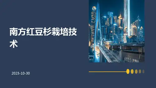 南方红豆杉栽培技术