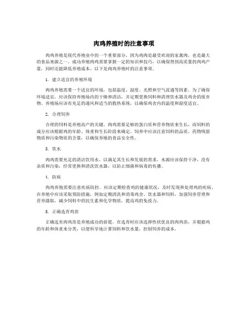 肉鸡养殖时的注意事项