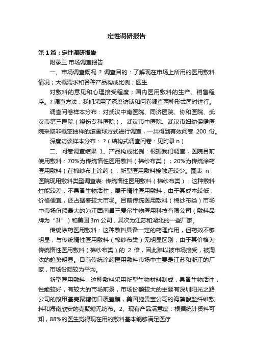 定性调研报告
