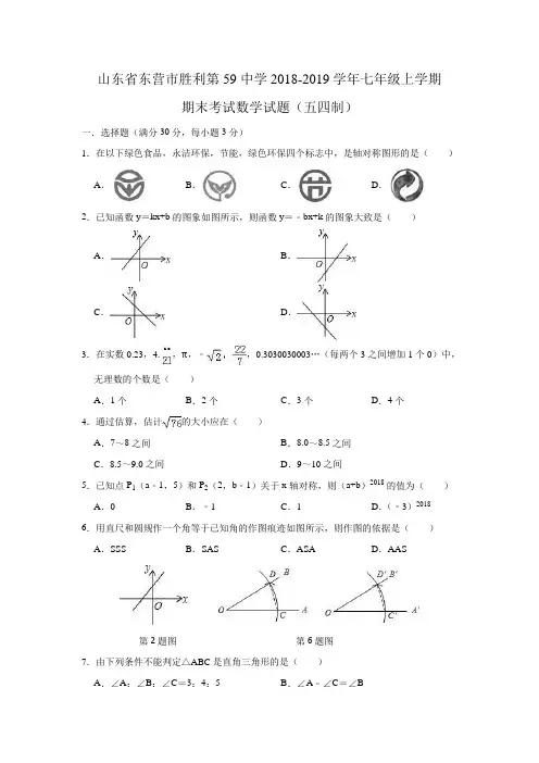 2018-2019学年七年级上学期期末考试数学试题(五四制)