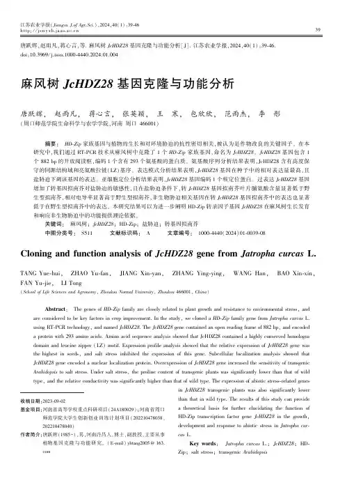 麻风树JcHDZ28_基因克隆与功能分析