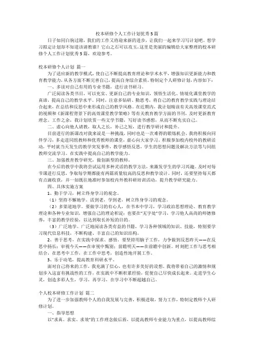 校本研修个人工作计划优秀5篇