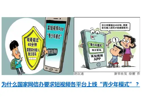 道德与法治 八年级上册   2.2合理利用网络