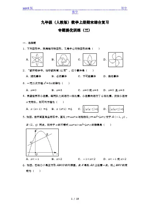 人教版九年级 数学上册期末综合复习专题提优训练(三) 