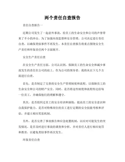 两个责任自查报告