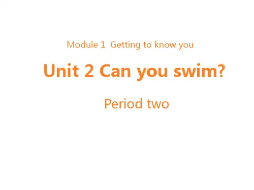 沪教版四年级上学期英语Unit 2 Can you swim教学课件