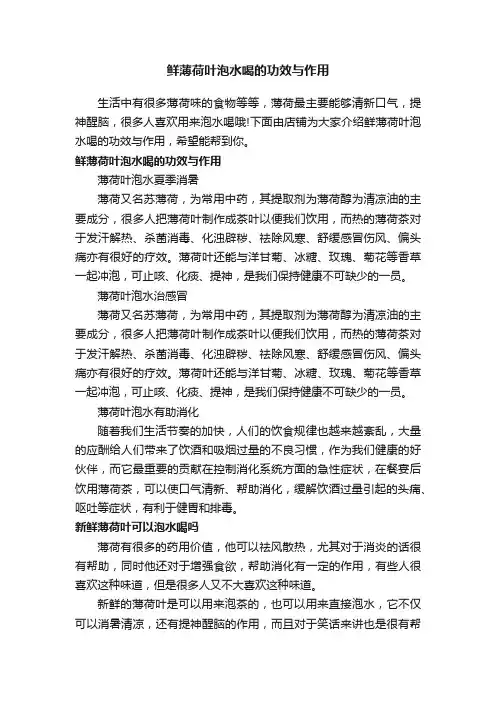 鲜薄荷叶泡水喝的功效与作用