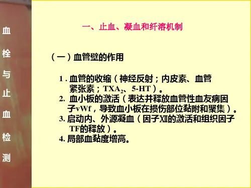 凝血讲义PPT课件