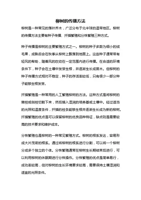 柳树的传播方法