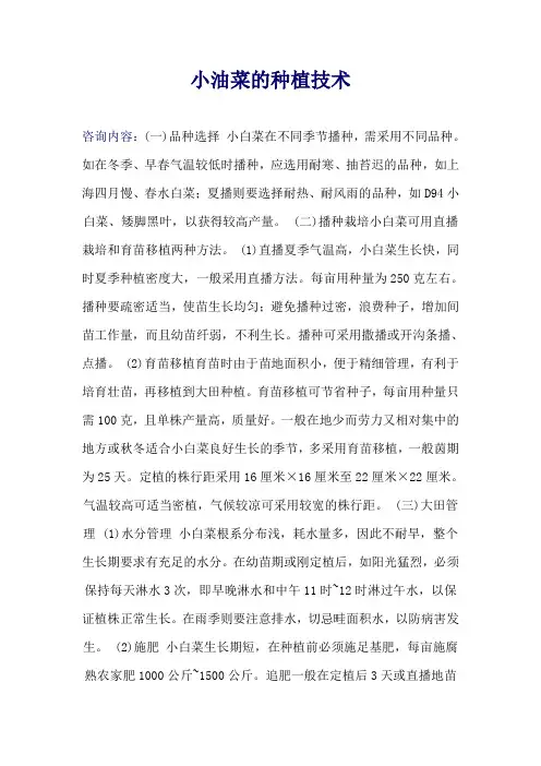 小油菜的种植技术