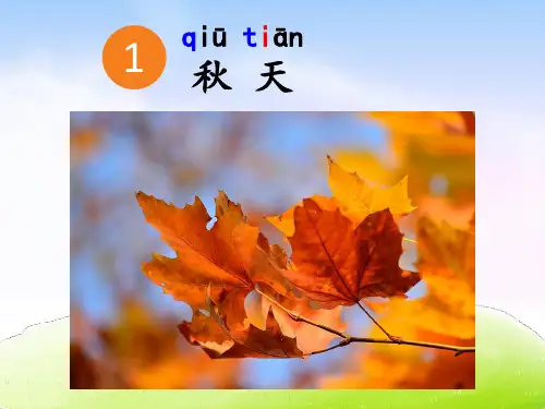 部编版一年级上册《秋天》优秀课件(完美版)