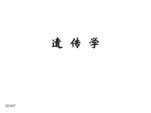 高中生物竞赛辅导—遗传学--顶级课件(共113张PPT)全篇
