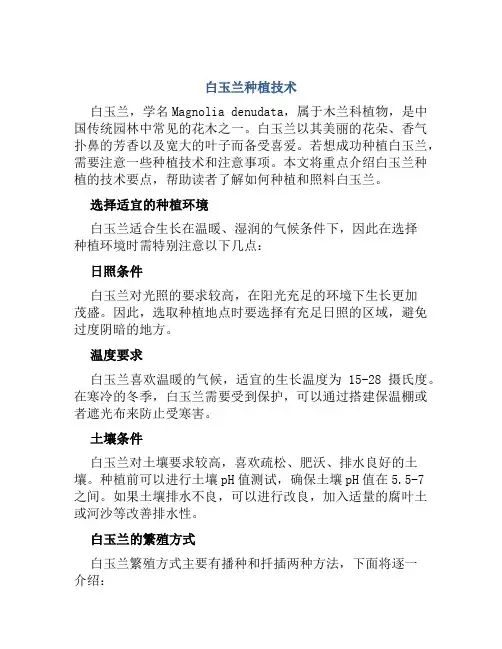 白玉兰种植技术