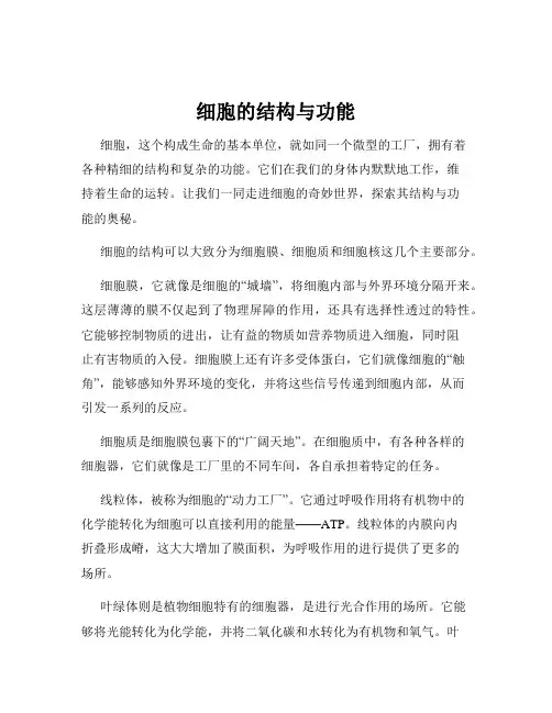 细胞的结构与功能