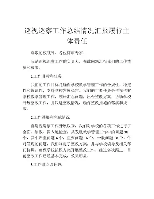 巡视巡察工作总结情况汇报履行主体责任