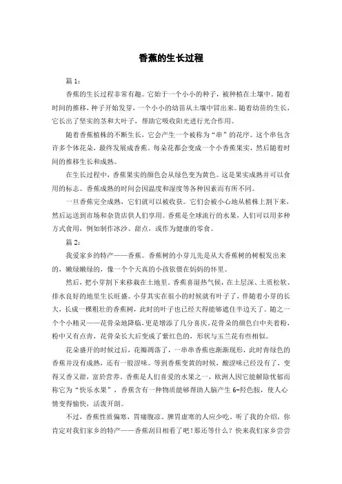 香蕉的生长过程作文300字