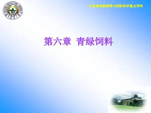 第六章 青绿饲料