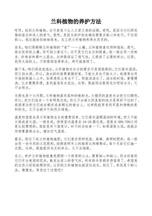 兰科植物的养护方法