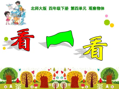 新北师大版四年级数学下册《看一看》公开课课件
