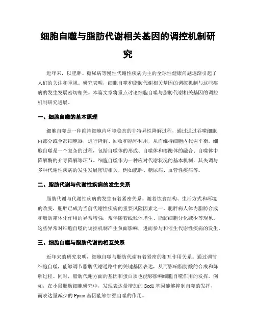 细胞自噬与脂肪代谢相关基因的调控机制研究