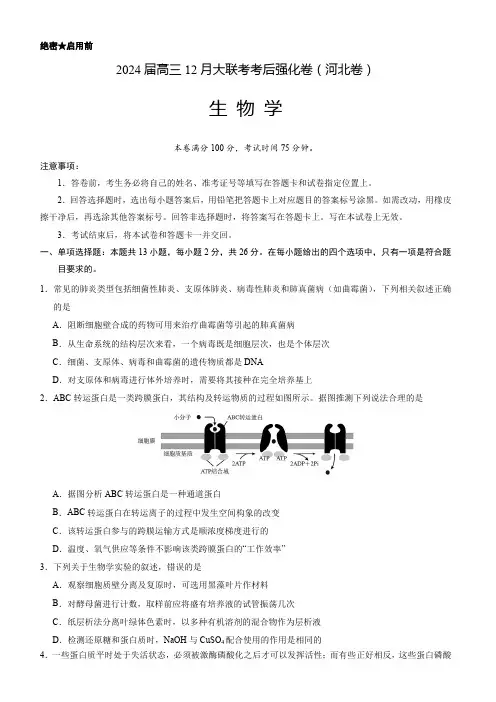 2024届高三12月大联考考后强化卷物理试题(河北卷)(含解析)