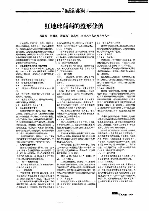 红地球葡萄的整形修剪