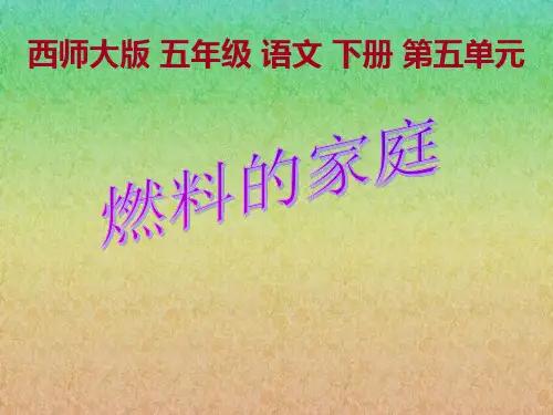 西师大版小学五年级语文下册第19课《燃料的家庭PPT课件》