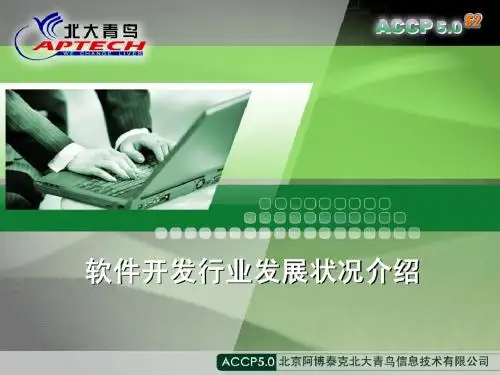 Chapter6_软件开发行业发展状况V1.0