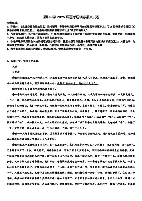 深圳中学2025届高考压轴卷语文试卷含解析