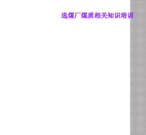 选煤厂煤质相关知识培训