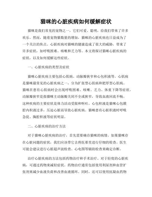 猫咪的心脏疾病如何缓解症状
