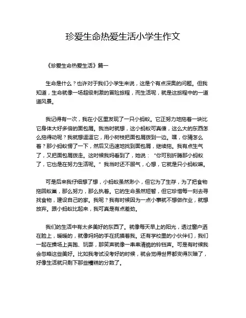 珍爱生命热爱生活小学生作文