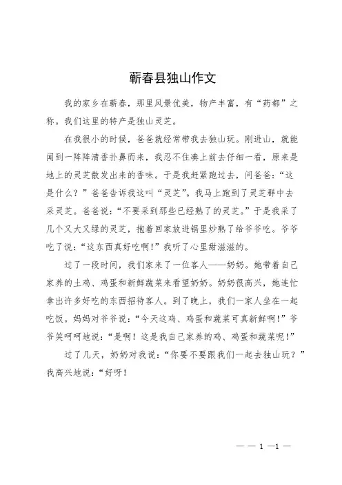 蕲春县独山作文