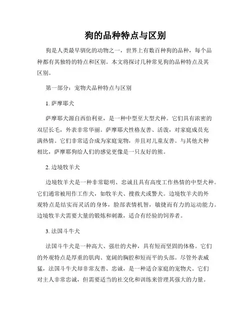 狗的品种特点与区别
