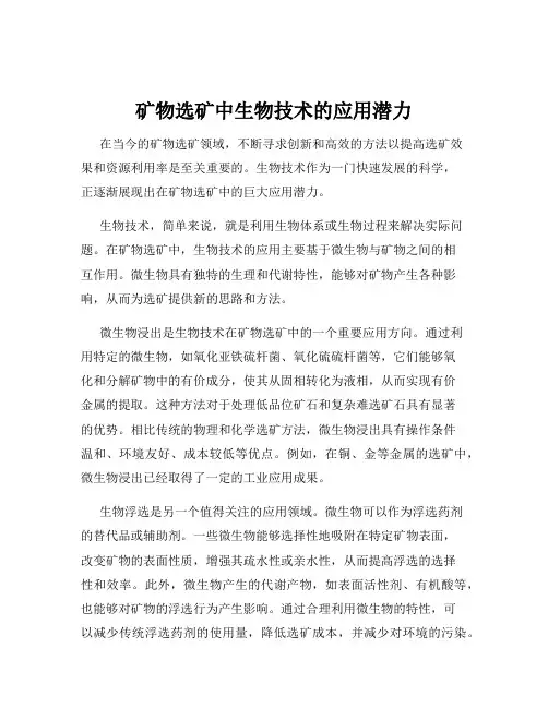 矿物选矿中生物技术的应用潜力