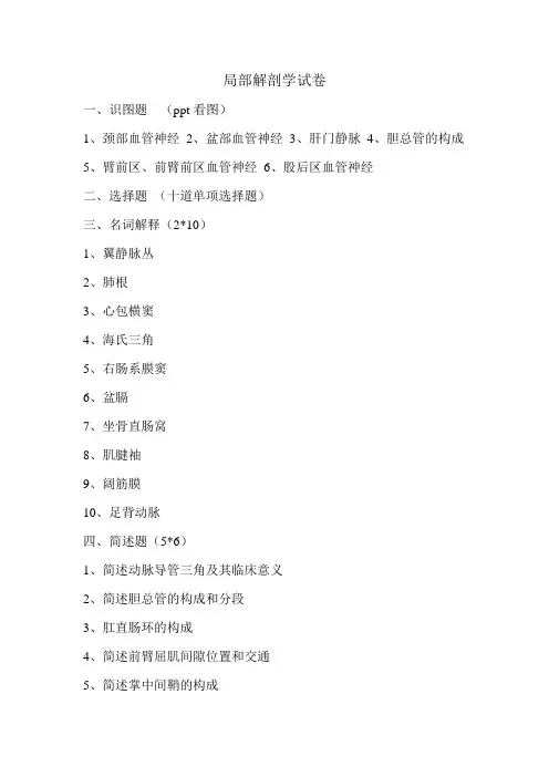 局部解剖学试卷