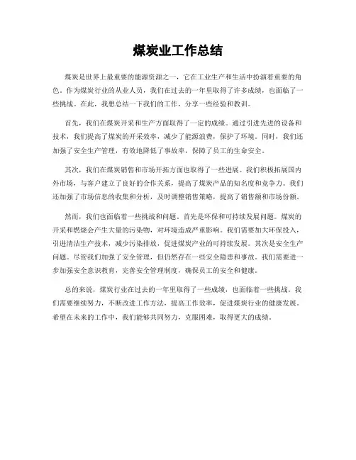 煤炭业工作总结