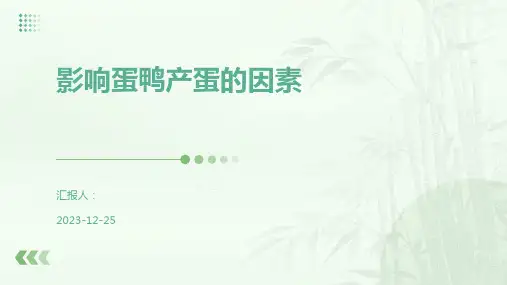 影响蛋鸭产蛋的因素