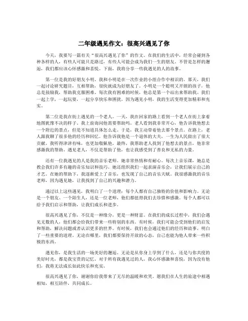 二年级遇见作文：很高兴遇见了你