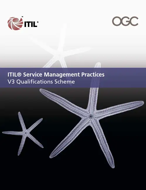 ITIL_2009_V3_Qualification_US(英文版)