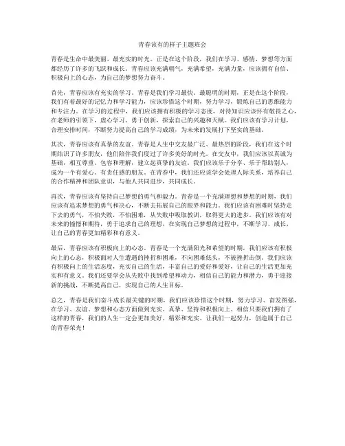 青春该有的样子主题班会