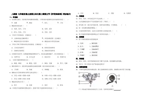 人教版 七年级生物上册第三单元第二章第三节《开花和结果》同步练习