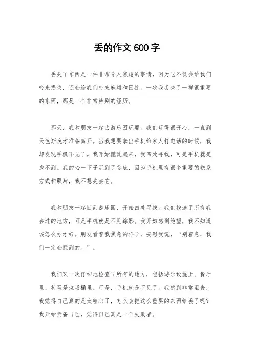 丢的作文600字