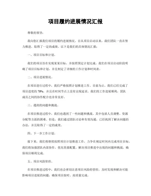 项目履约进展情况汇报