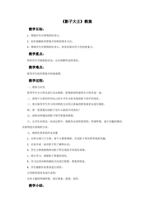 湘美版美术二年级下册 第十七课《影子大王》教案1