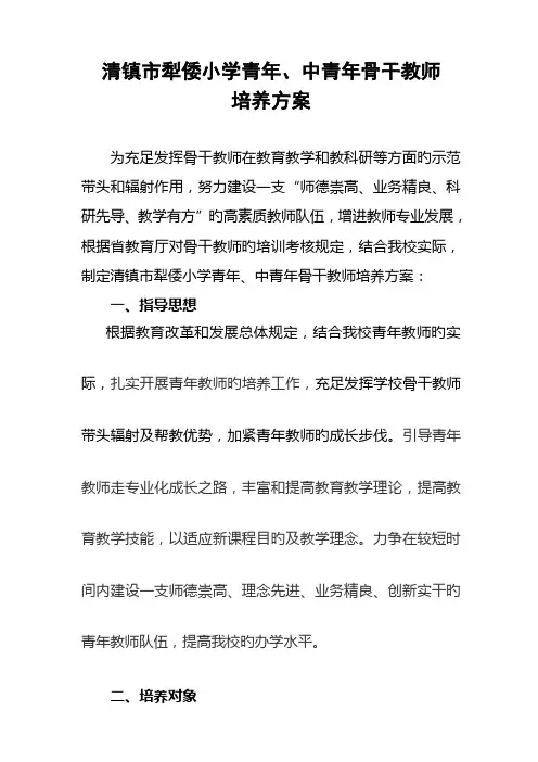 中青年教师培养方案