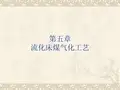 第五章流化床气化工艺分析
