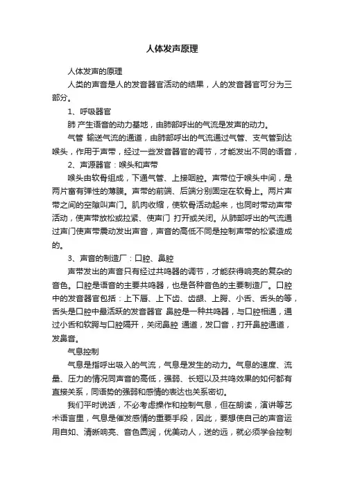 人体发声原理