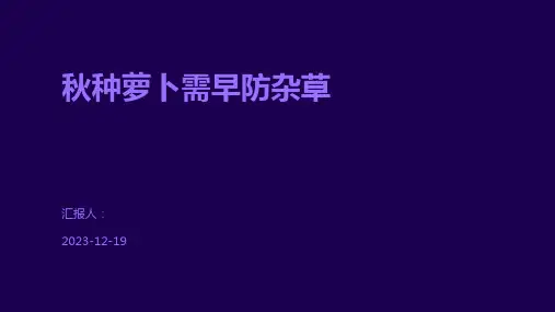 秋种萝卜需早防杂草