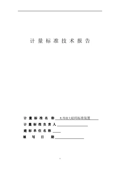大砝码计量标准技术报告[2]